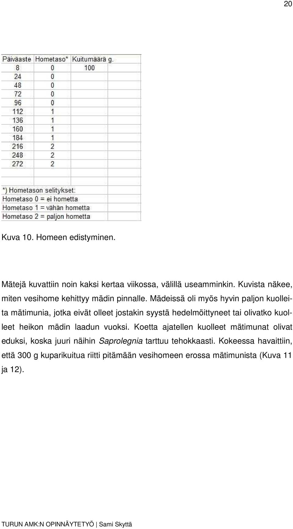 Mädeissä oli myös hyvin paljon kuolleita mätimunia, jotka eivät olleet jostakin syystä hedelmöittyneet tai olivatko kuolleet