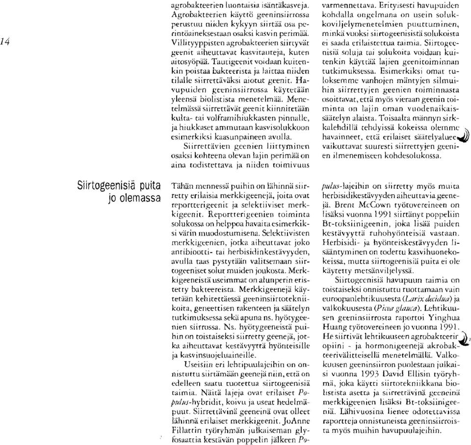 Ta~irigeenit voidaan kuirenkin poistaa bakteerista ja laittaa niiden tilalle siirrettiiviiksi aiotut geenit. Havupuiden geeninsiirrossa kaytetiian yleensä biolistista menetelmaa.