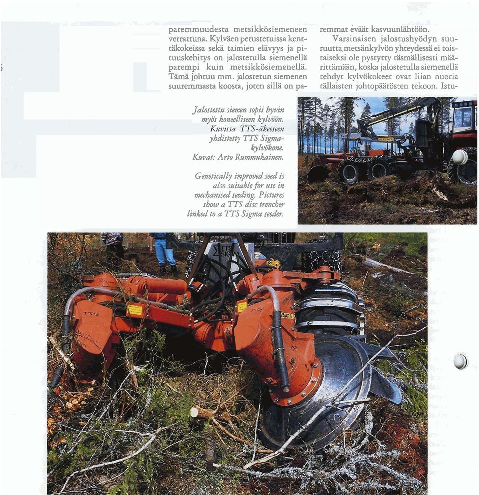 Varsinaisen jalostushyödyn suuruutta metsänkylvön yhteydessä ei toistaiseksi ole pystytty täsmällisesti määrittämiään, koska jalostetulla siemenellä tehdyt kylvökokeet ovat liian nuoria