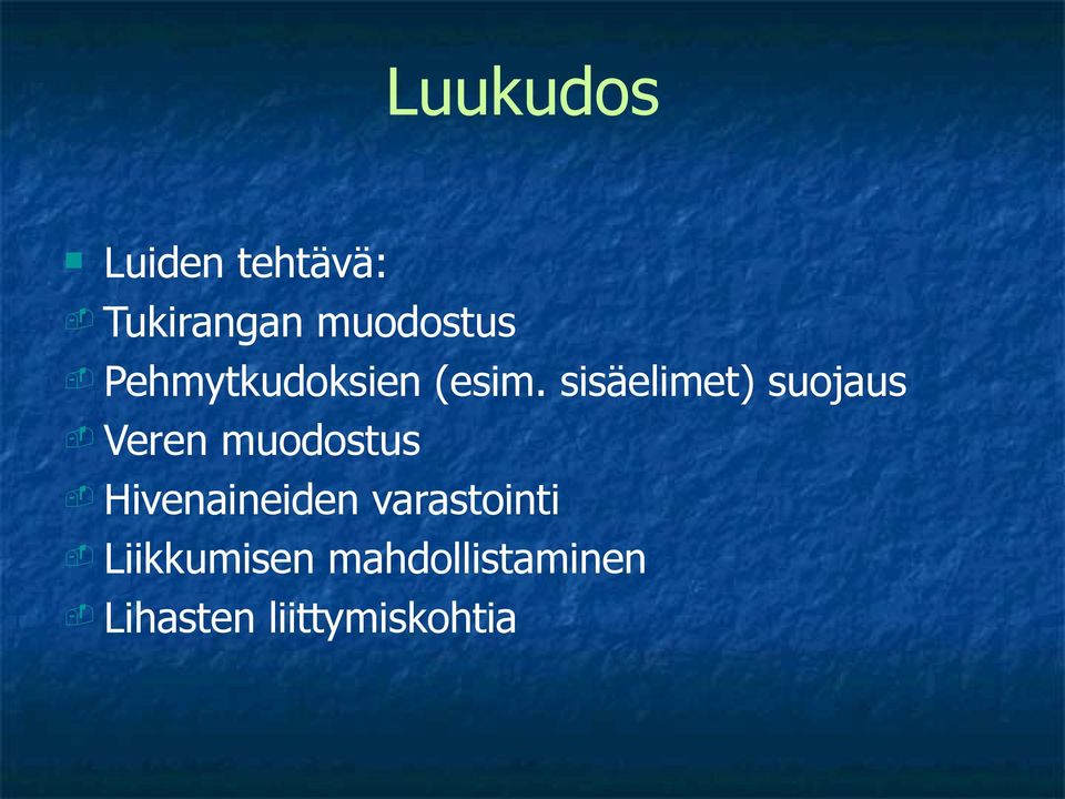 sisäelimet) suojaus - Veren muodostus -