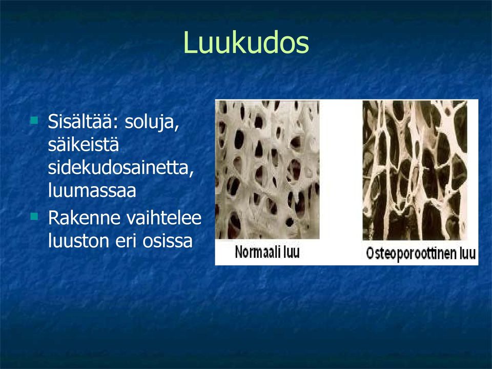 sidekudosainetta,
