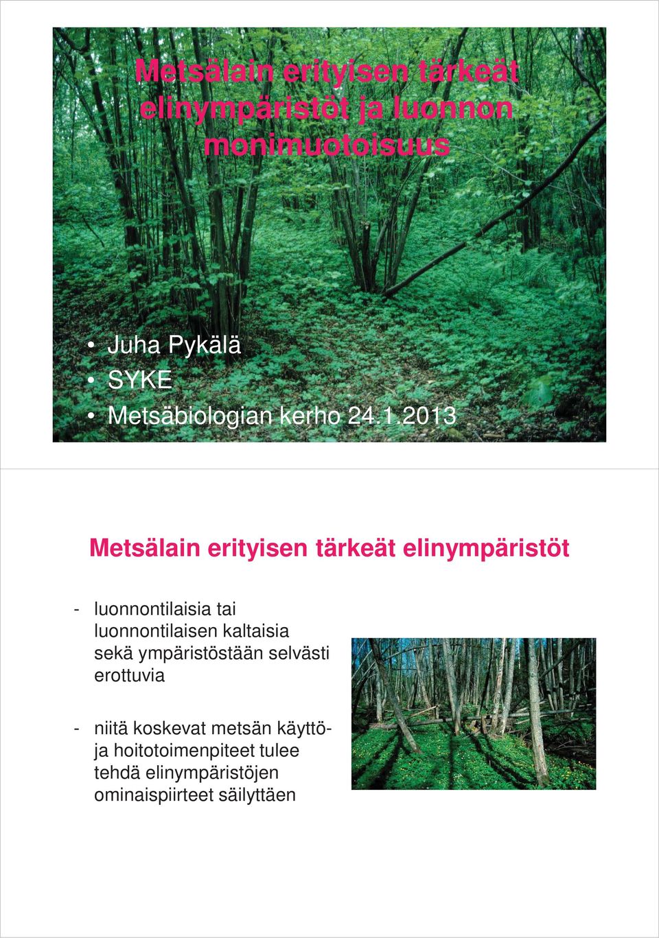 2013 Metsälain erityisen tärkeät elinympäristöt - luonnontilaisia tai luonnontilaisen