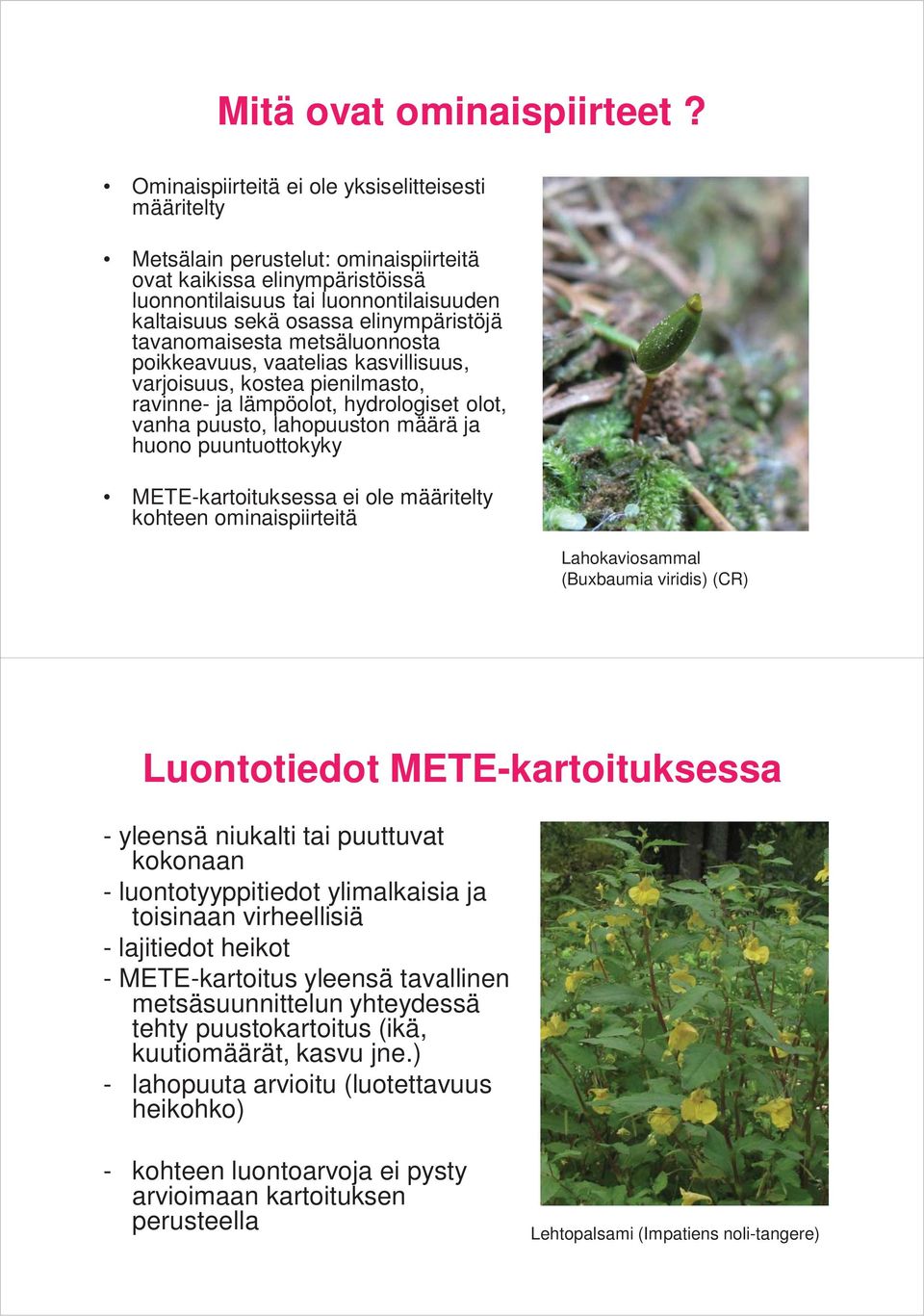 elinympäristöjä tavanomaisesta metsäluonnosta poikkeavuus, vaatelias kasvillisuus, varjoisuus, kostea pienilmasto, ravinne- ja lämpöolot, hydrologiset olot, vanha puusto, lahopuuston määrä ja huono