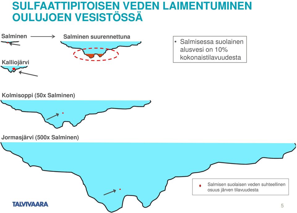 10% kokonaistilavuudesta Kolmisoppi (50x Salminen) Jormasjärvi (500x