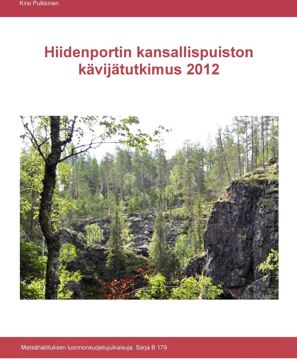 kävijätutkimus 2012