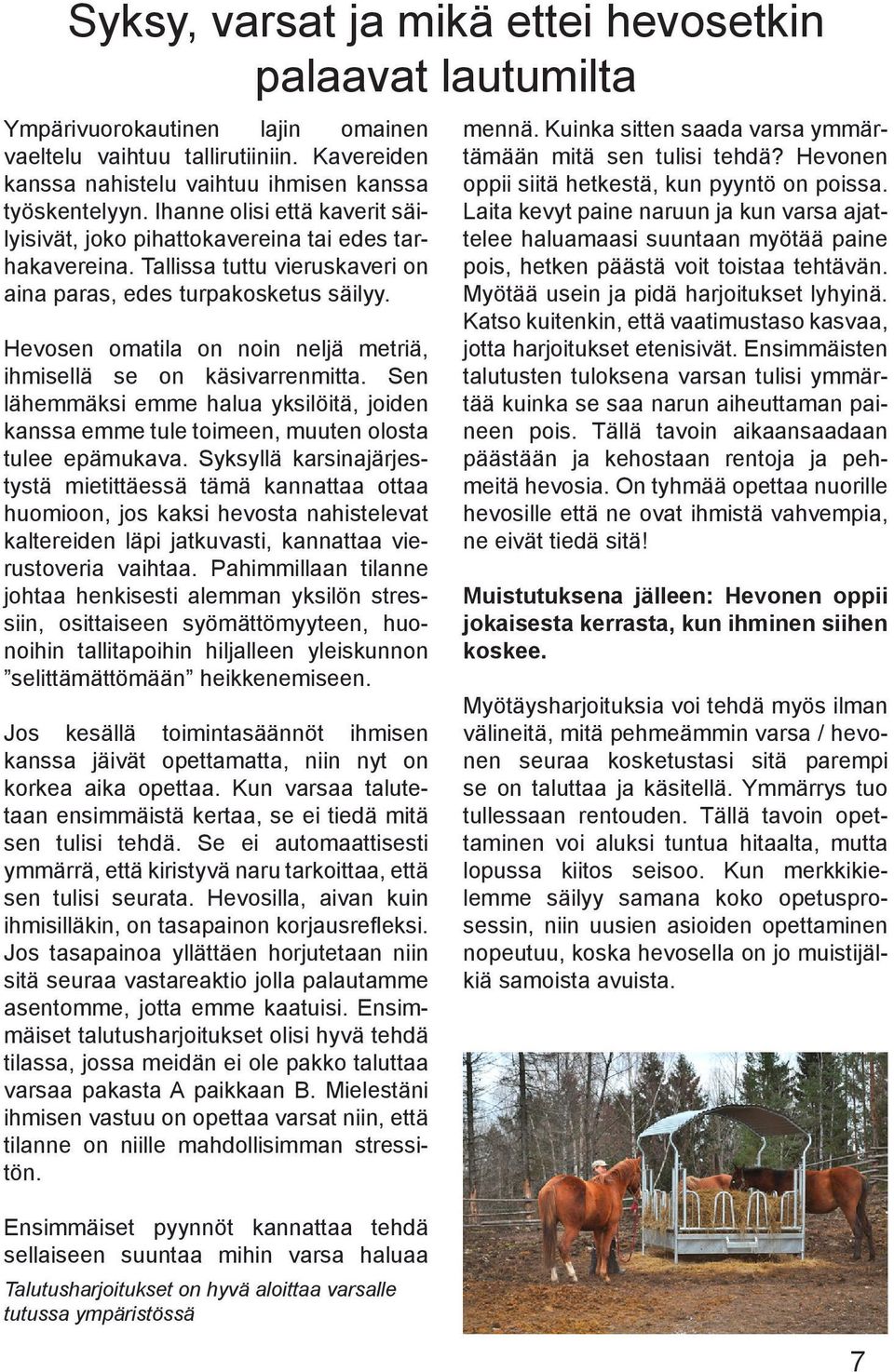 Hevosen omatila on noin neljä metriä, ihmisellä se on käsivarrenmitta. Sen lähemmäksi emme halua yksilöitä, joiden kanssa emme tule toimeen, muuten olosta tulee epämukava.