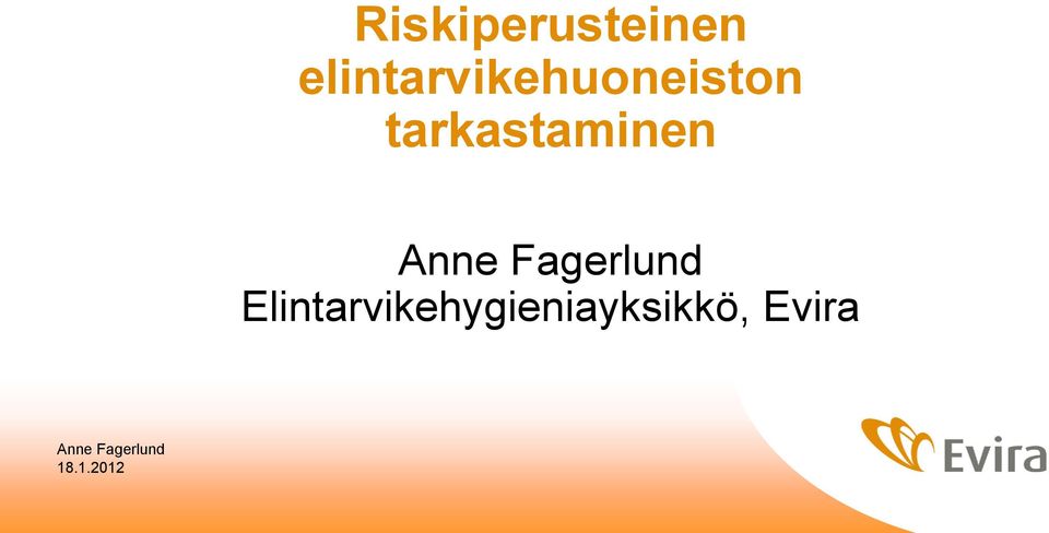 tarkastaminen Anne Fagerlund