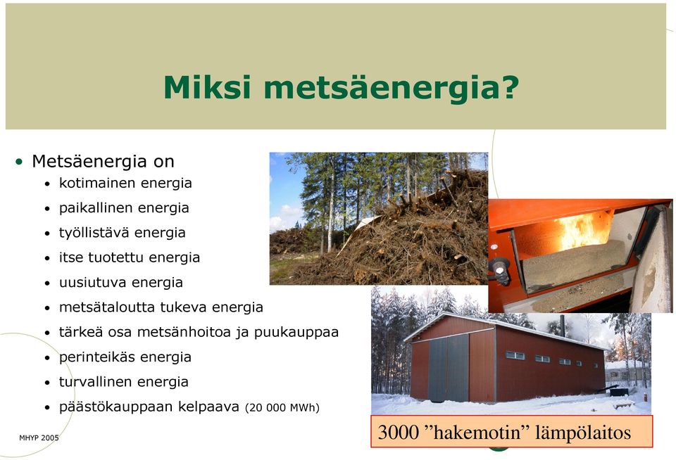 itse tuotettu energia uusiutuva energia metsätaloutta tukeva energia tärkeä