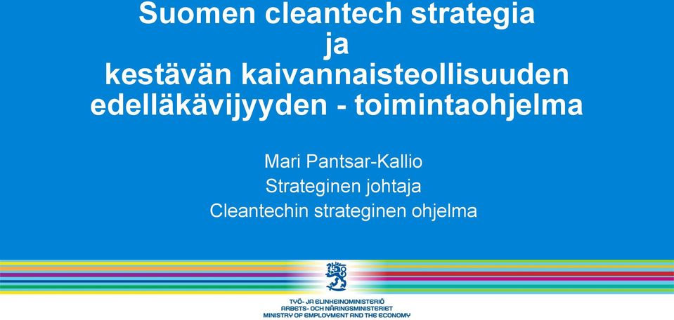 toimintaohjelma Mari Pantsar-Kallio