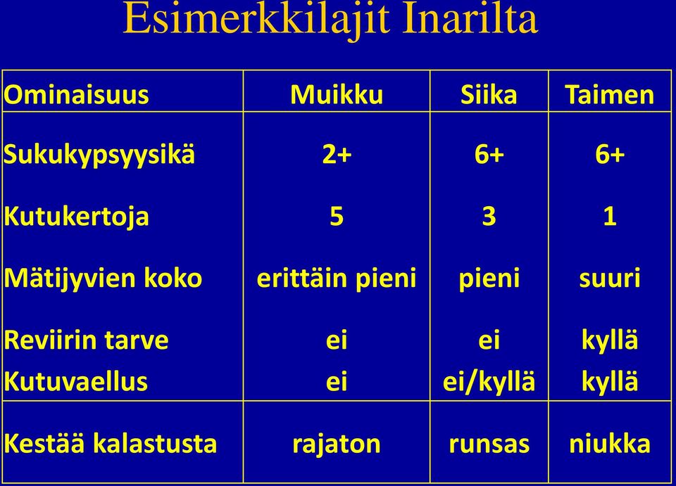 erittäin pieni pieni suuri Reviirin tarve ei ei kyllä