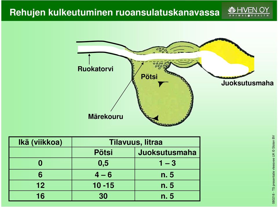 (viikkoa) 0 6 12 16 Tilavuus, litraa Pötsi