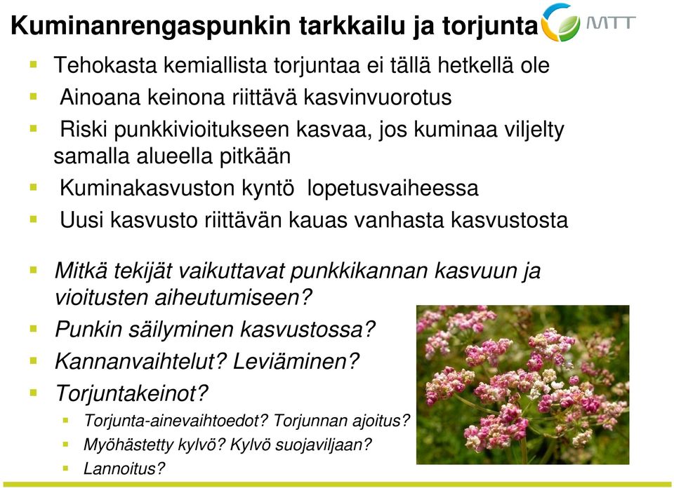 riittävän kauas vanhasta kasvustosta Mitkä tekijät vaikuttavat punkkikannan kasvuun ja vioitusten aiheutumiseen?