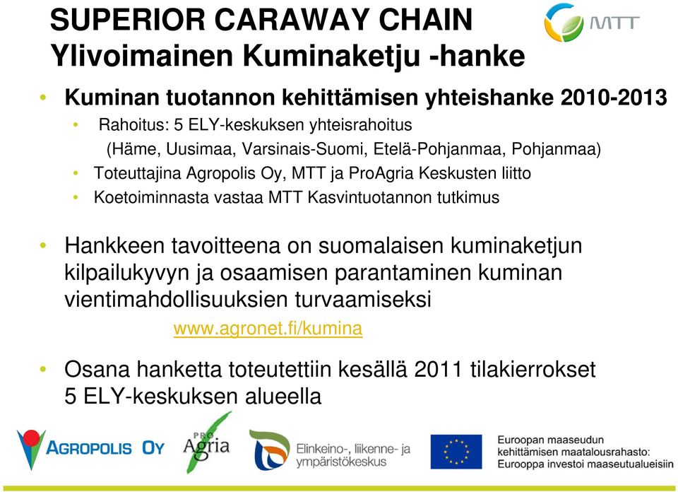 Koetoiminnasta vastaa MTT Kasvintuotannon tutkimus Hankkeen tavoitteena on suomalaisen kuminaketjun kilpailukyvyn ja osaamisen parantaminen