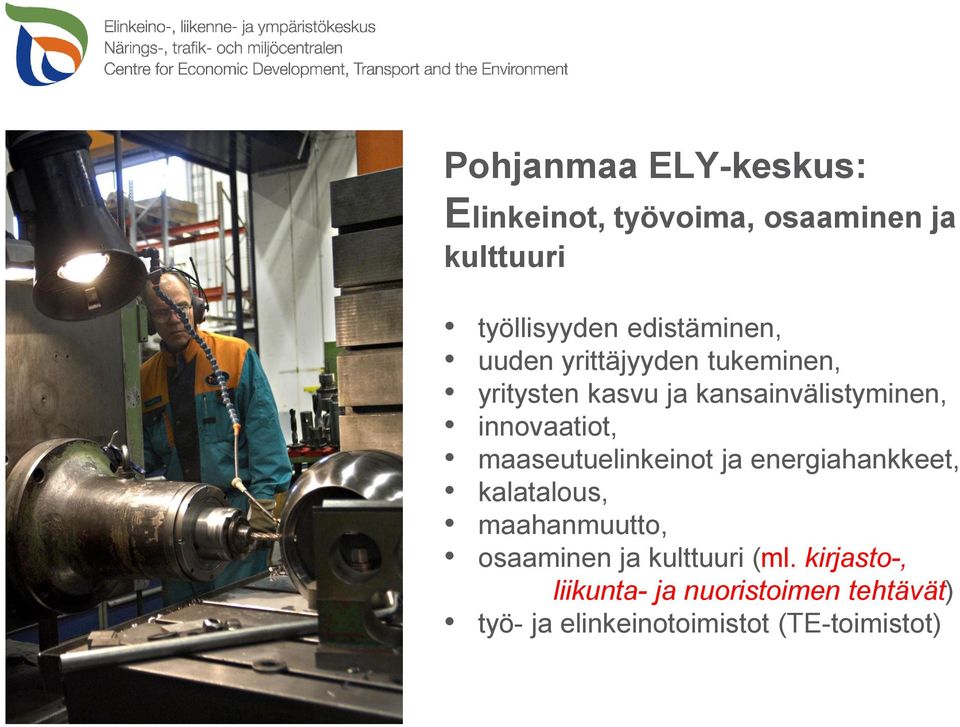 innovaatiot, maaseutuelinkeinot ja energiahankkeet, kalatalous, maahanmuutto, osaaminen