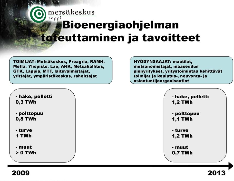 pienyritykset, yritystoimintaa kehittävät toimijat ja koulutus-, neuvonta- ja asiantuntijaorganisaatiot - hake, pelletti 0,3 TWh