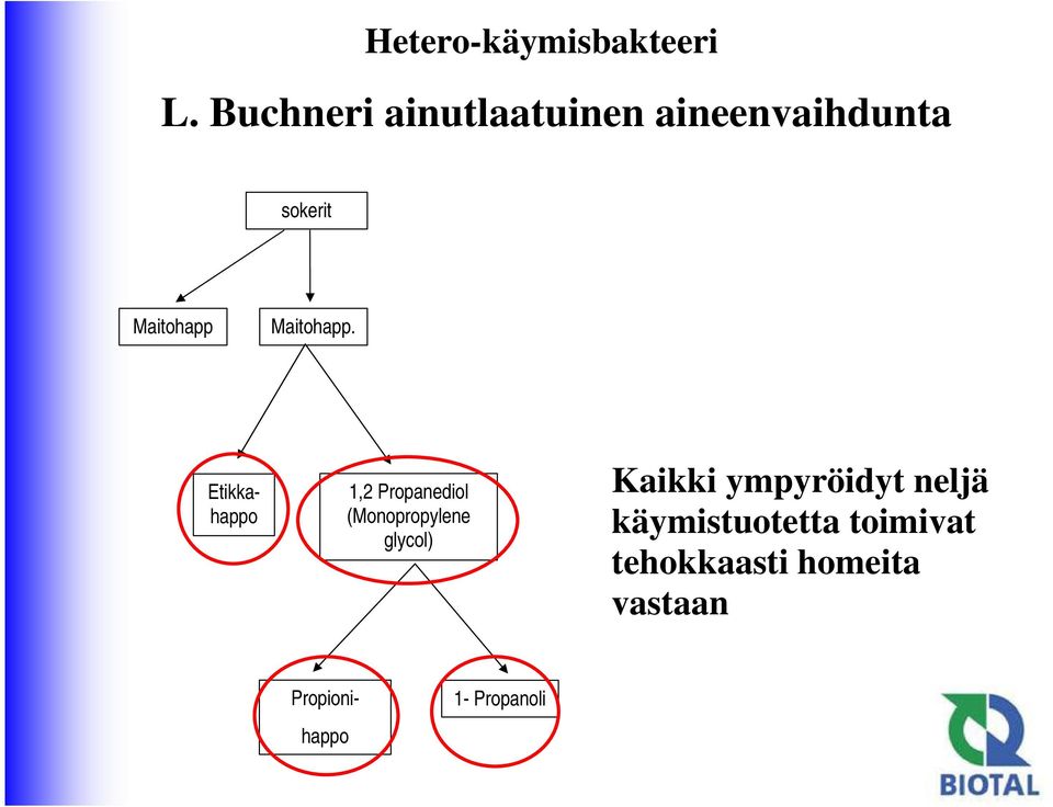 Maitohapp.