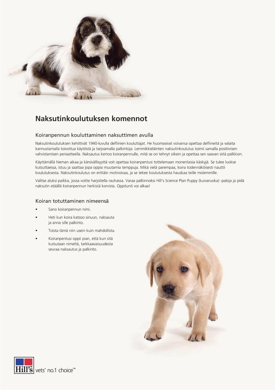 Lemmikkieläinten naksutinkoulutus toimii samalla positiivisen vahvistamisen periaatteella. Naksautus kertoo koiranpennulle, mitä se on tehnyt oikein ja opettaa sen saavan siitä palkkion.