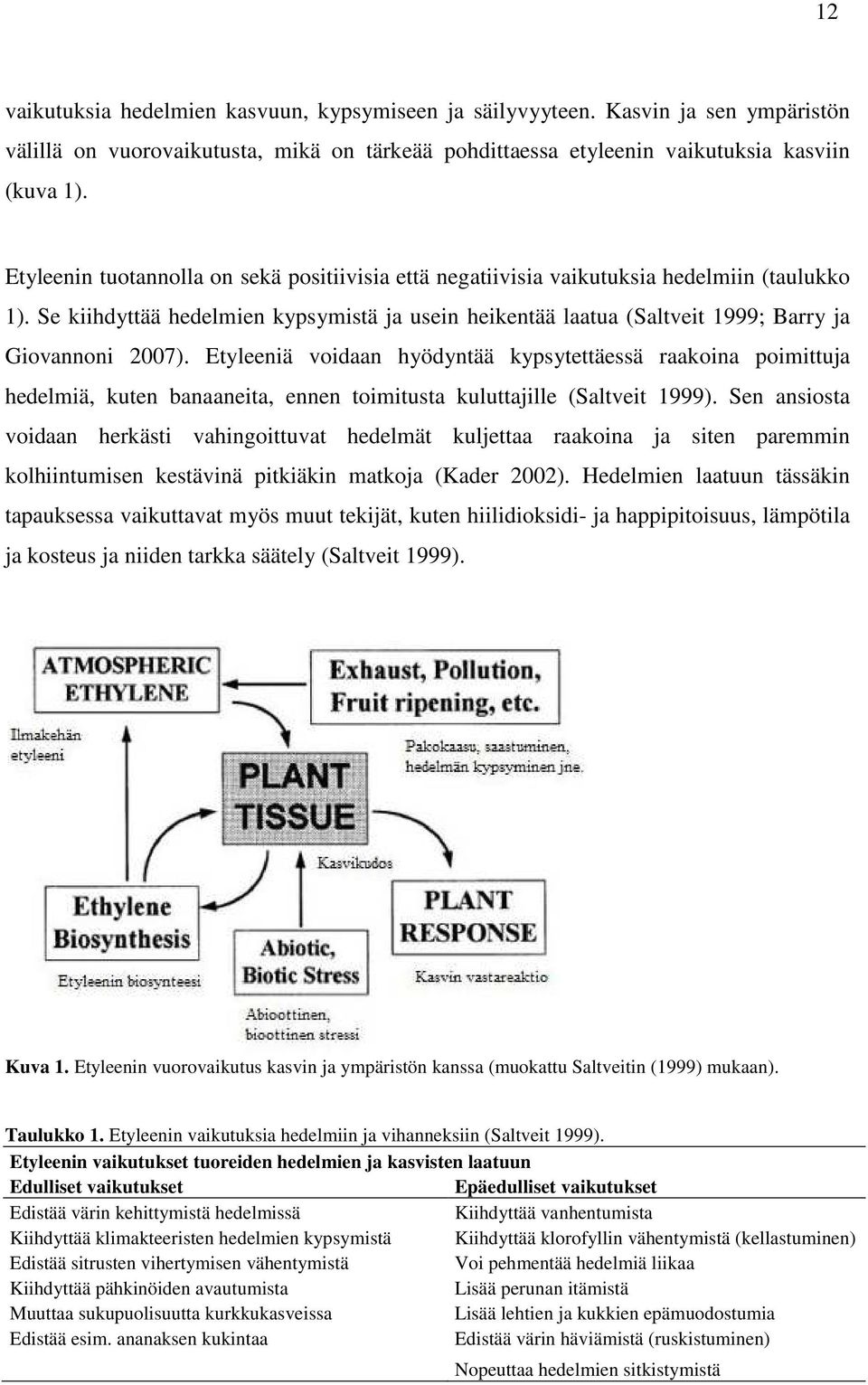 Etyleeniä voidn hyödyntää kypsytettäessä rkoin poimittuj hedelmiä, kuten nneit, ennen toimitust kuluttjille (Sltveit 1999).