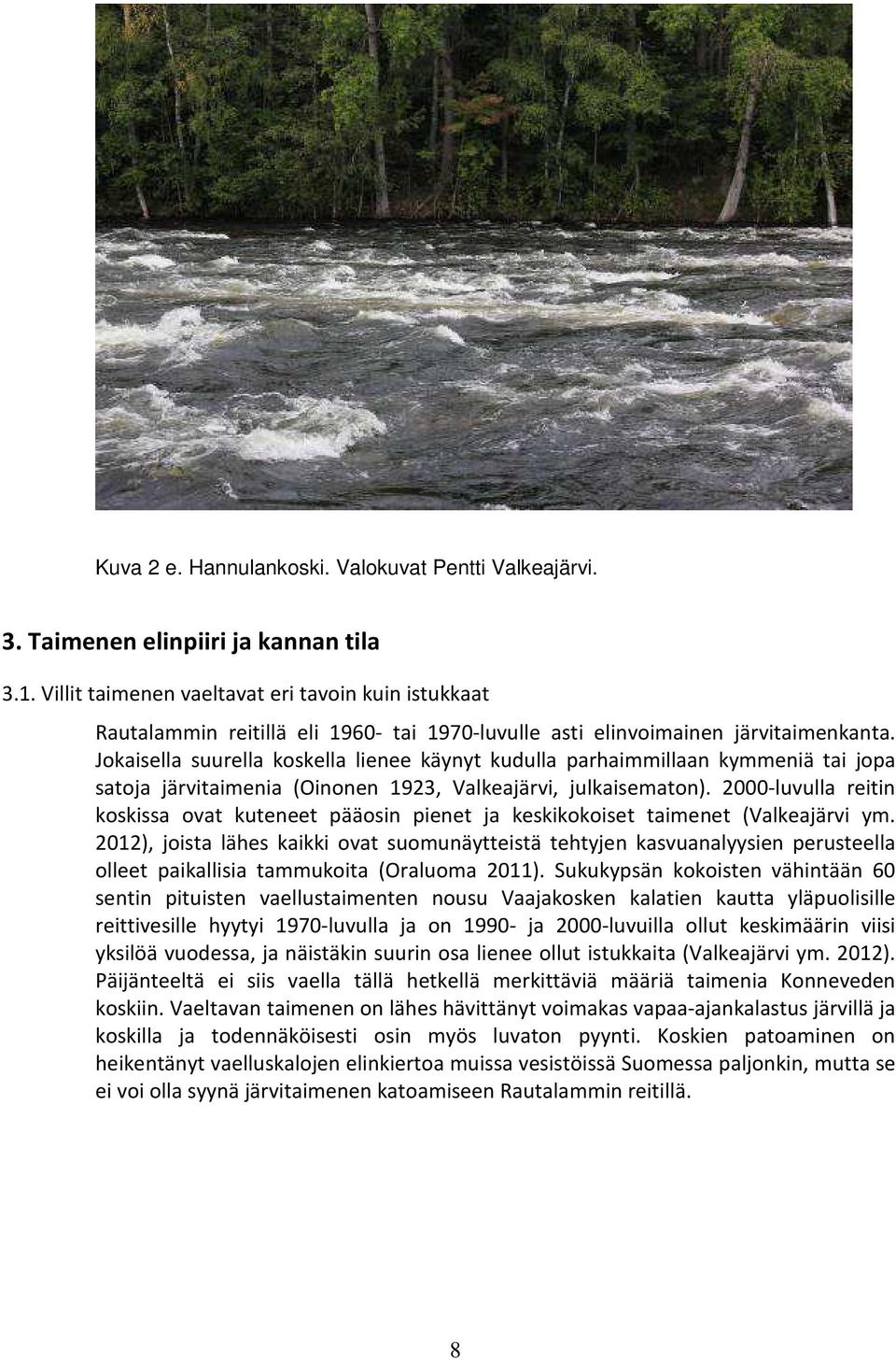 Jokaisella suurella koskella lienee käynyt kudulla parhaimmillaan kymmeniä tai jopa satoja järvitaimenia (Oinonen 1923, Valkeajärvi, julkaisematon).