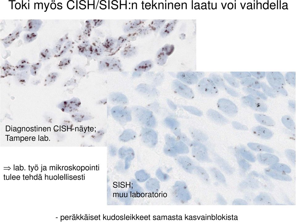 lab. työ ja mikroskopointi tulee tehdä huolellisesti