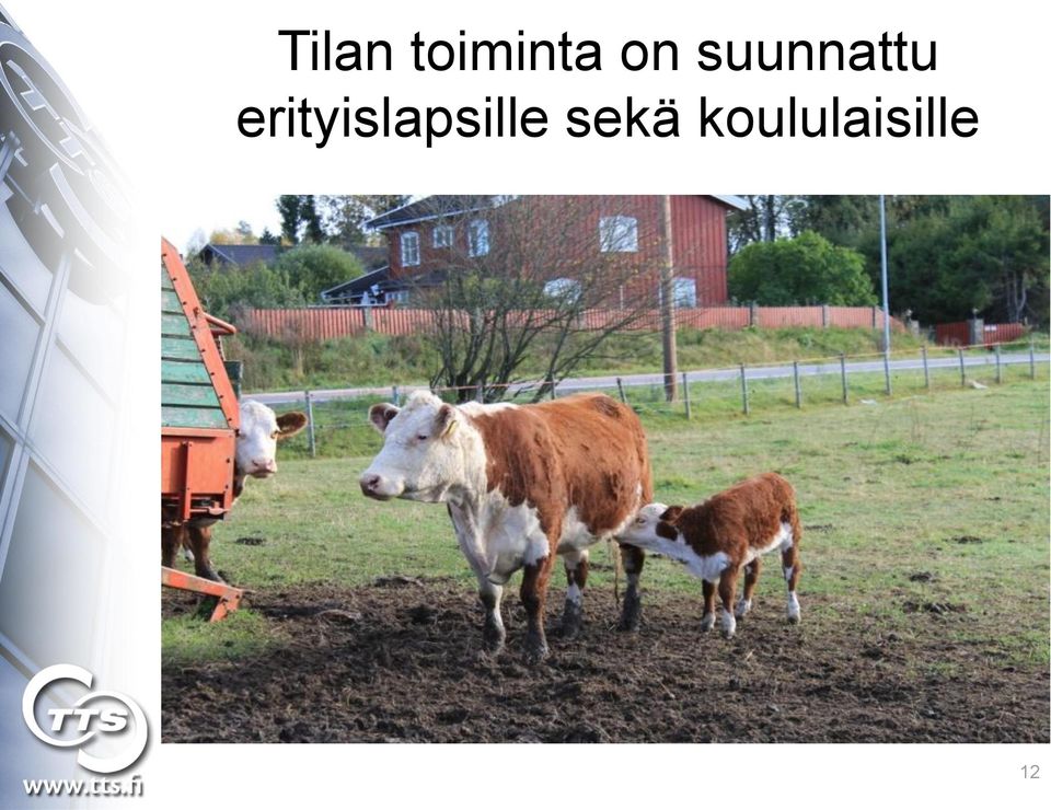 erityislapsille
