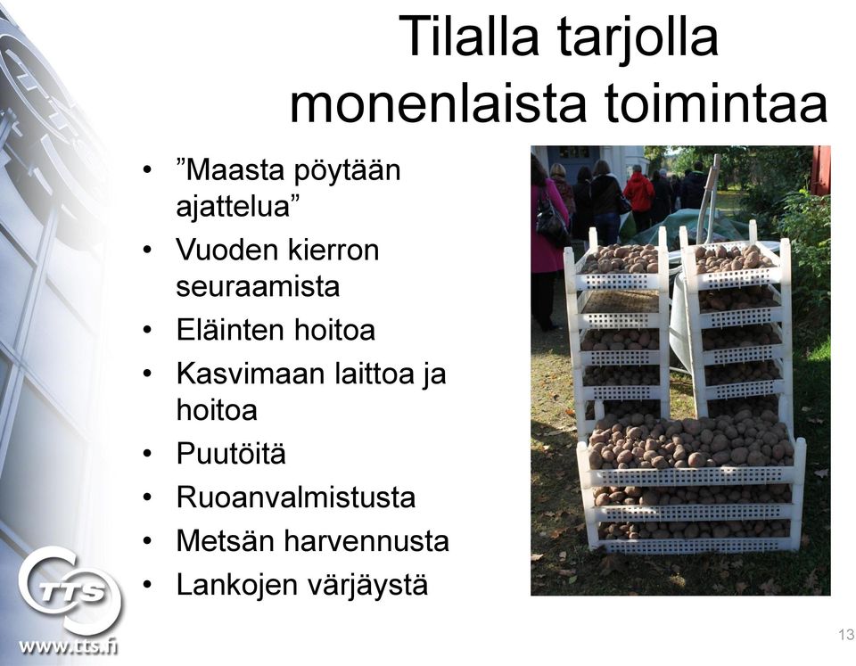 monenlaista toimintaa Kasvimaan laittoa ja hoitoa