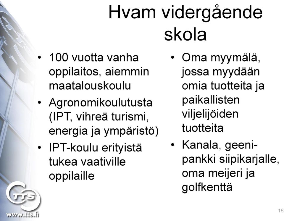 tukea vaativille oppilaille Oma myymälä, jossa myydään omia tuotteita ja