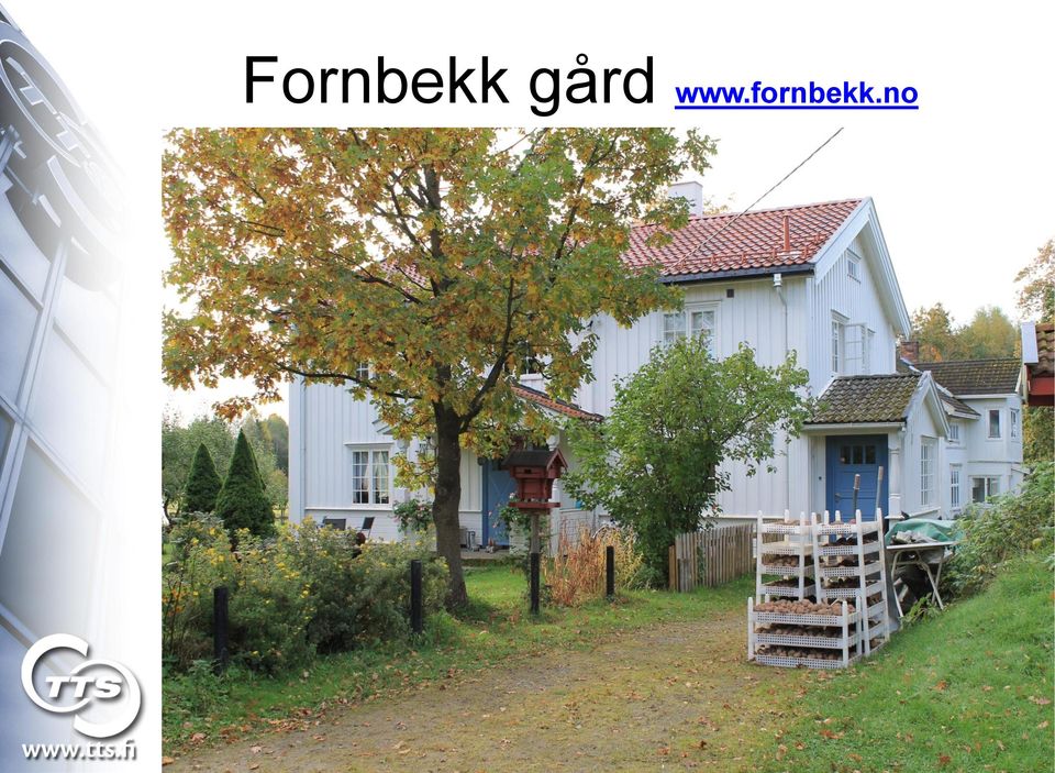 fornbekk.