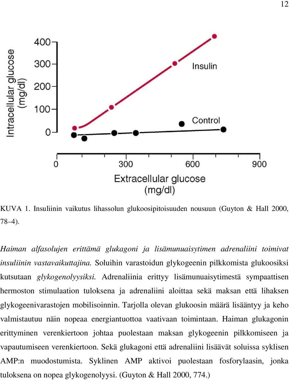 Adrenaliinia erittyy lisämunuaisytimestä sympaattisen hermoston stimulaation tuloksena ja adrenaliini aloittaa sekä maksan että lihaksen glykogeenivarastojen mobilisoinnin.