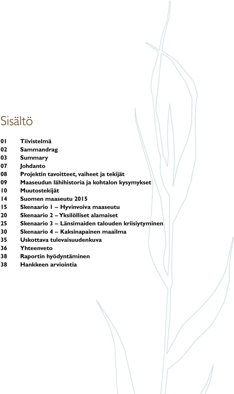 maaseutu 20 Skenaario 2 Yksilölliset alamaiset 25 Skenaario 3 Länsimaiden talouden kriisiytyminen 30 Skenaario 4