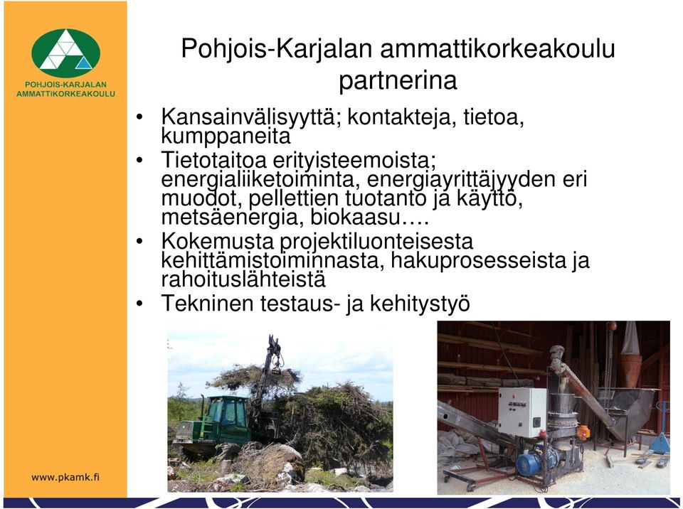 muodot, pellettien tuotanto ja käyttö, metsäenergia, biokaasu.