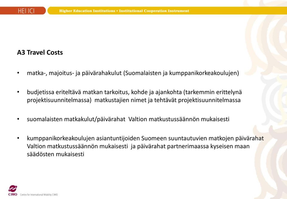 projektisuunnitelmassa suomalaisten matkakulut/päivärahat Valtion matkustussäännön mukaisesti kumppanikorkeakoulujen