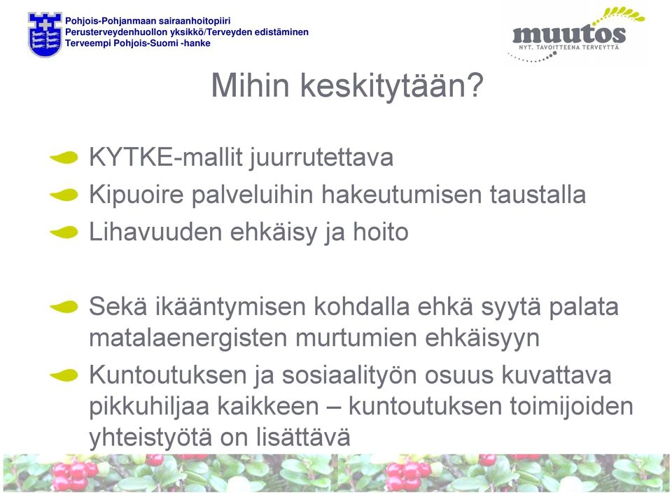 Lihavuuden ehkäisy ja hoito Sekä ikääntymisen kohdalla ehkä syytä palata