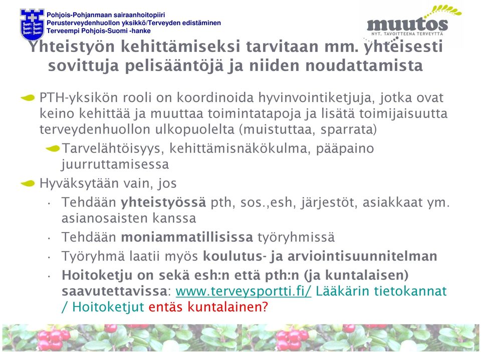 toimijaisuutta terveydenhuollon ulkopuolelta (muistuttaa, sparrata) Tarvelähtöisyys, kehittämisnäkökulma, pääpaino juurruttamisessa Hyväksytään vain, jos Tehdään