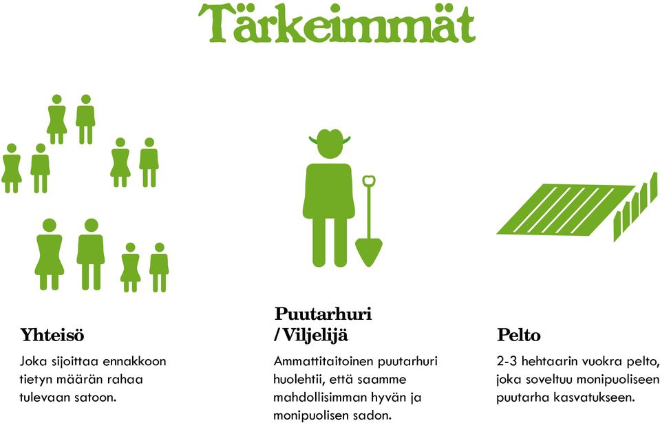 Puutarhuri / Viljelijä Ammattitaitoinen puutarhuri huolehtii, että