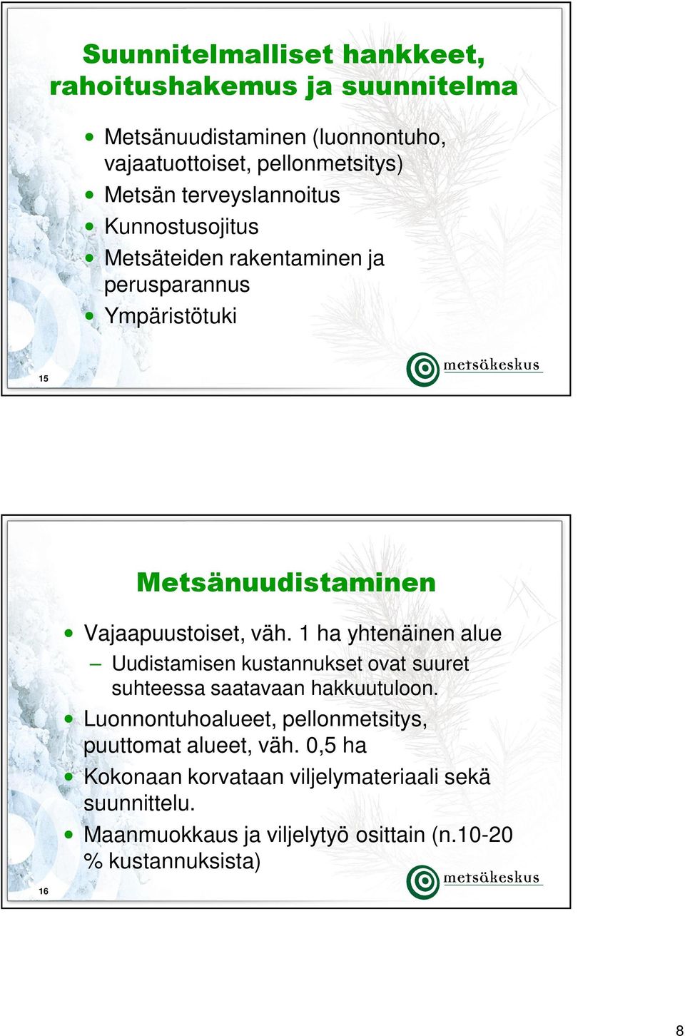 1 ha yhtenäinen alue Uudistamisen kustannukset ovat suuret suhteessa saatavaan hakkuutuloon.