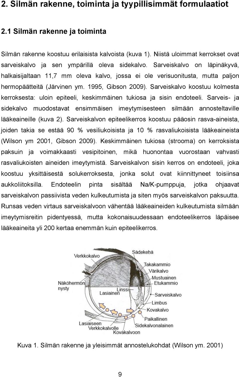 Sarveiskalvo on läpinäkyvä, halkaisijaltaan 11,7 mm oleva kalvo, jossa ei ole verisuonitusta, mutta paljon hermopäätteitä (Järvinen ym. 1995, Gibson 2009).
