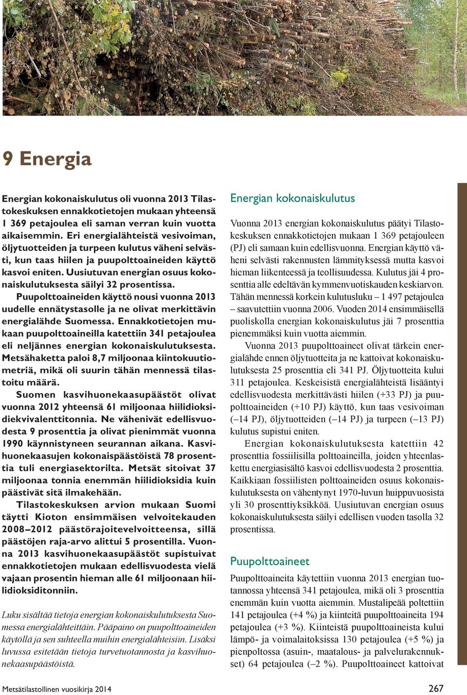 Uusiutuvan energian osuus kokonaiskulutuksesta säilyi 32 prosentissa. Puupolttoaineiden käyttö nousi vuonna 2013 uudelle ennätystasolle ja ne olivat merkittävin energialähde Suomessa.