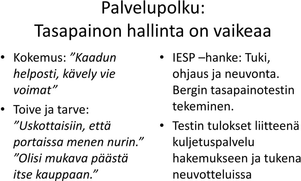 Olisi mukava päästä itse kauppaan. IESP hanke: Tuki, ohjaus ja neuvonta.