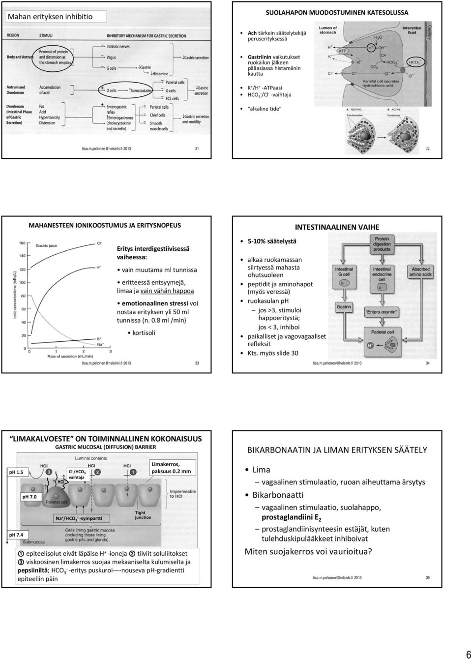 fi 2013 31 32 MAHANESTEEN IONIKOOSTUMUS JA ERITYSNOPEUS Eritys interdigestiivisessä vaiheessa: vain muutama ml tunnissa eritteessä entsyymejä, limaa ja vain vähän happoa emotionaalinen stressi voi