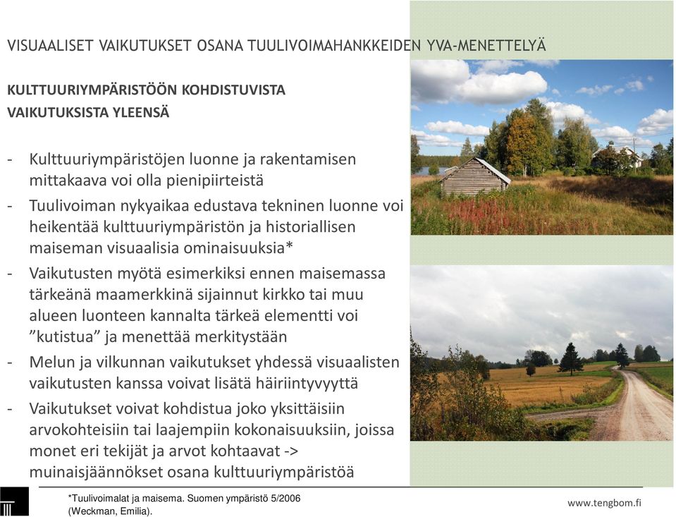 kannalta tärkeä elementti voi kutistua ja menettää merkitystään - Melun ja vilkunnan vaikutukset yhdessä visuaalisten vaikutusten kanssa voivat lisätä häiriintyvyyttä - Vaikutukset voivat kohdistua
