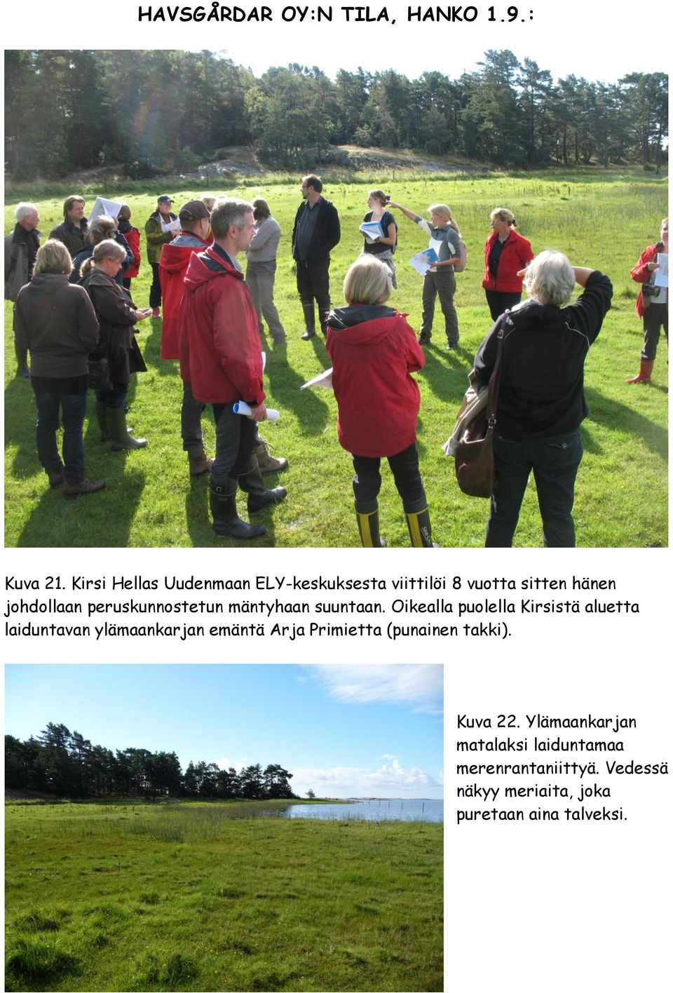 peruskunnostetun mäntyhaan suuntaan.