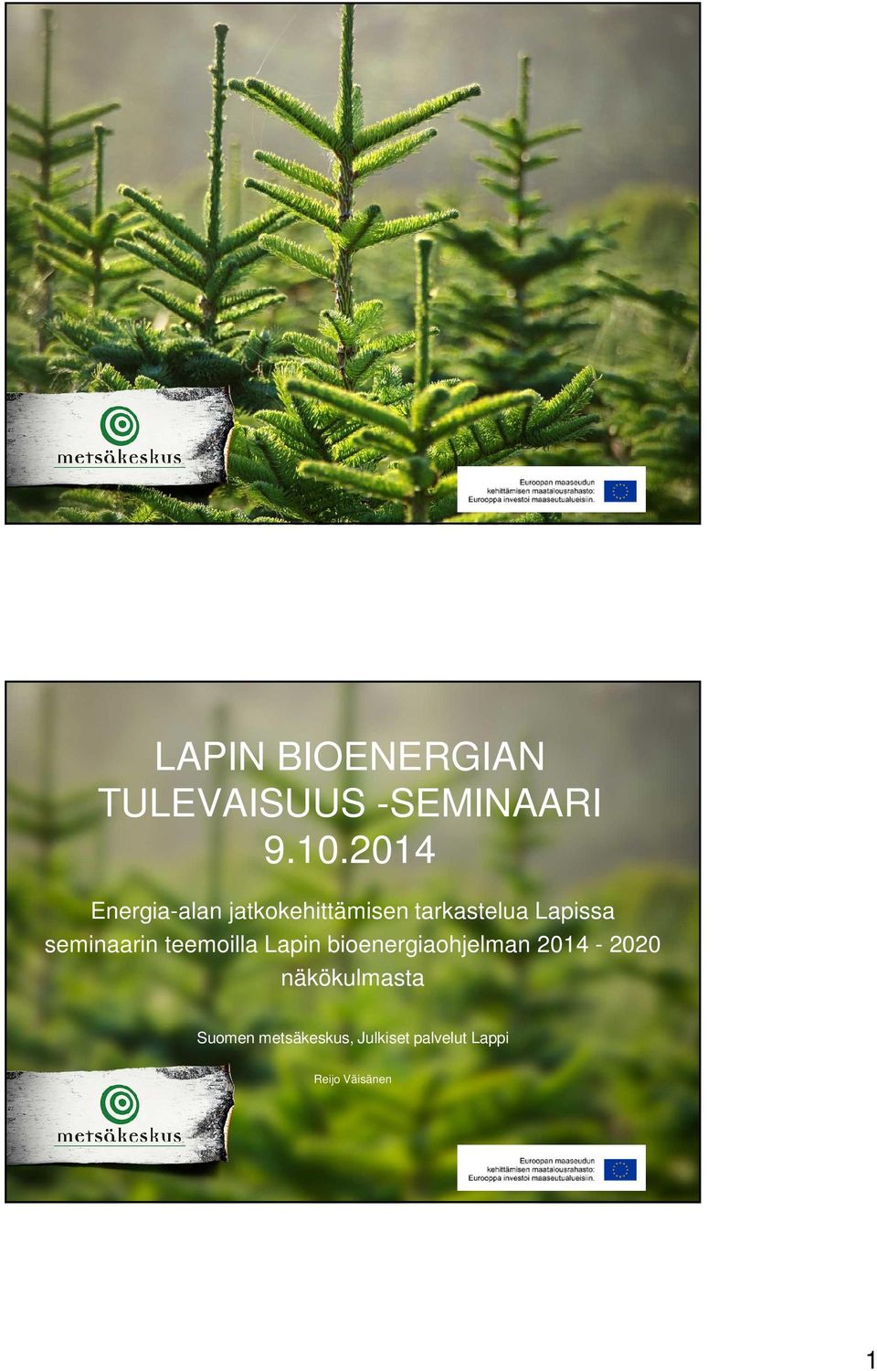 seminaarin teemoilla Lapin bioenergiaohjelman 2014-2020