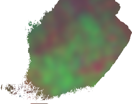 Suomen monilähteinen inventointi Field data of the NFI High resolution satellite imagery Numeric maps, digital