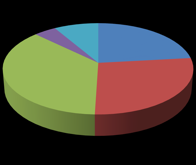 4% 9% 23% 37% 27% Netti Järjestöjen lehdet