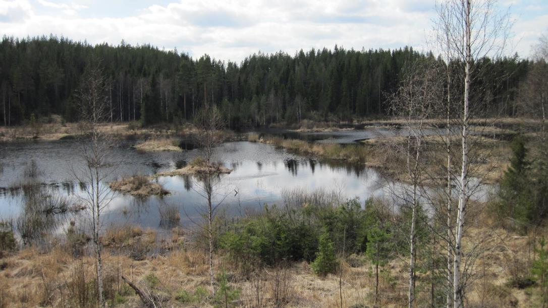 Valuma-aluekunnostukset Vesiensuojelun tehostamisalueet eri maankäyttömuotojen osalta Tunnistettu maa- ja metsätalouden sekä turvetuotannon vesiensuojelun painopistealueet.