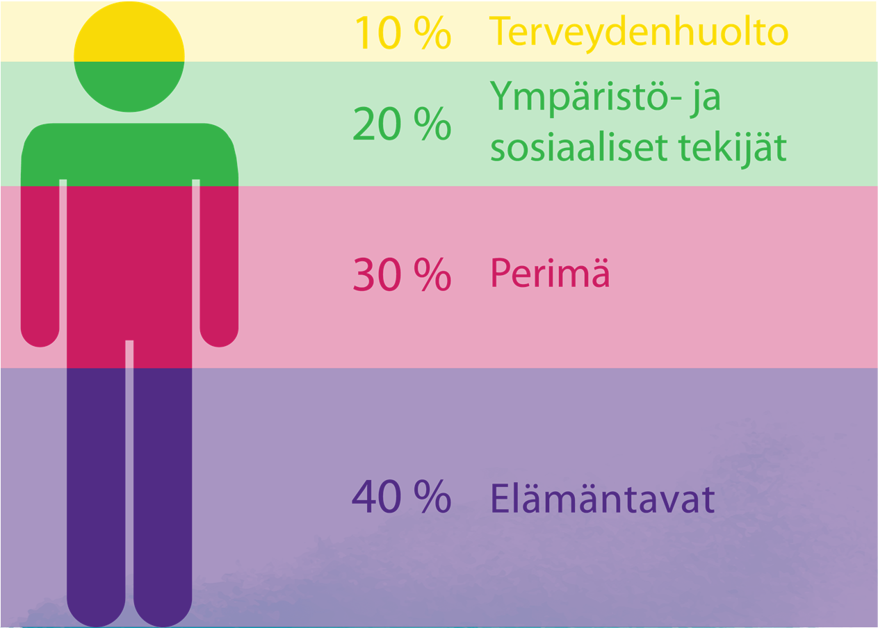 Mitkä tekijät vaikuttavat ihmisen hyvinvointiin