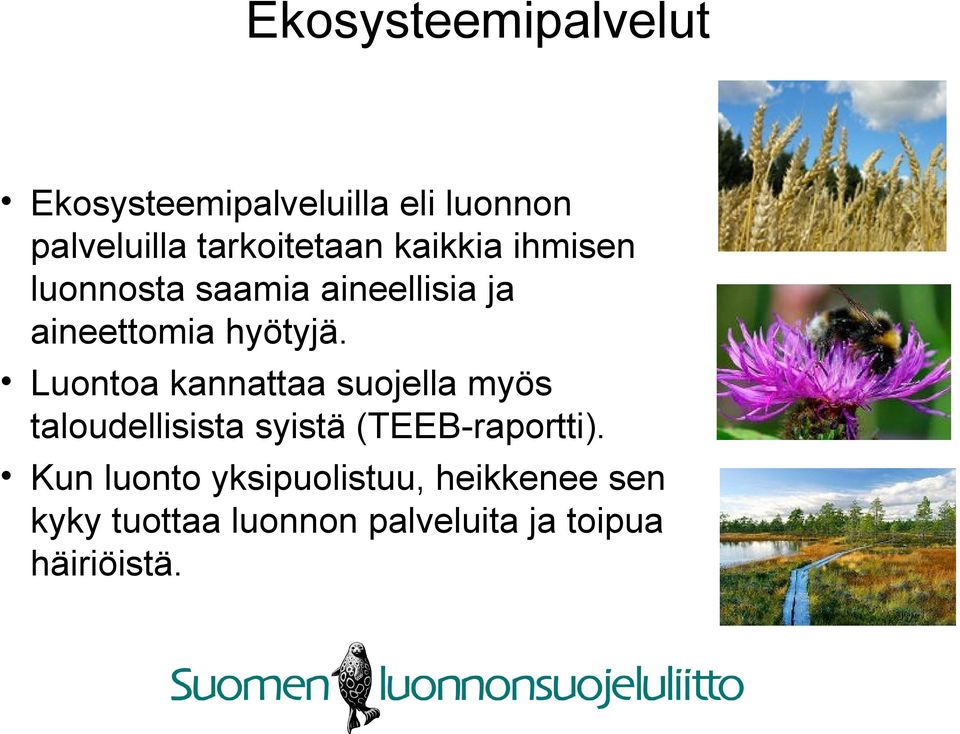 hyötyjä.