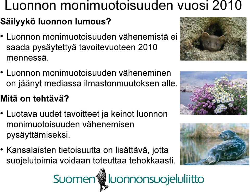 Luonnon monimuotoisuuden väheneminen on jäänyt mediassa ilmastonmuutoksen alle. Mitä on tehtävä?