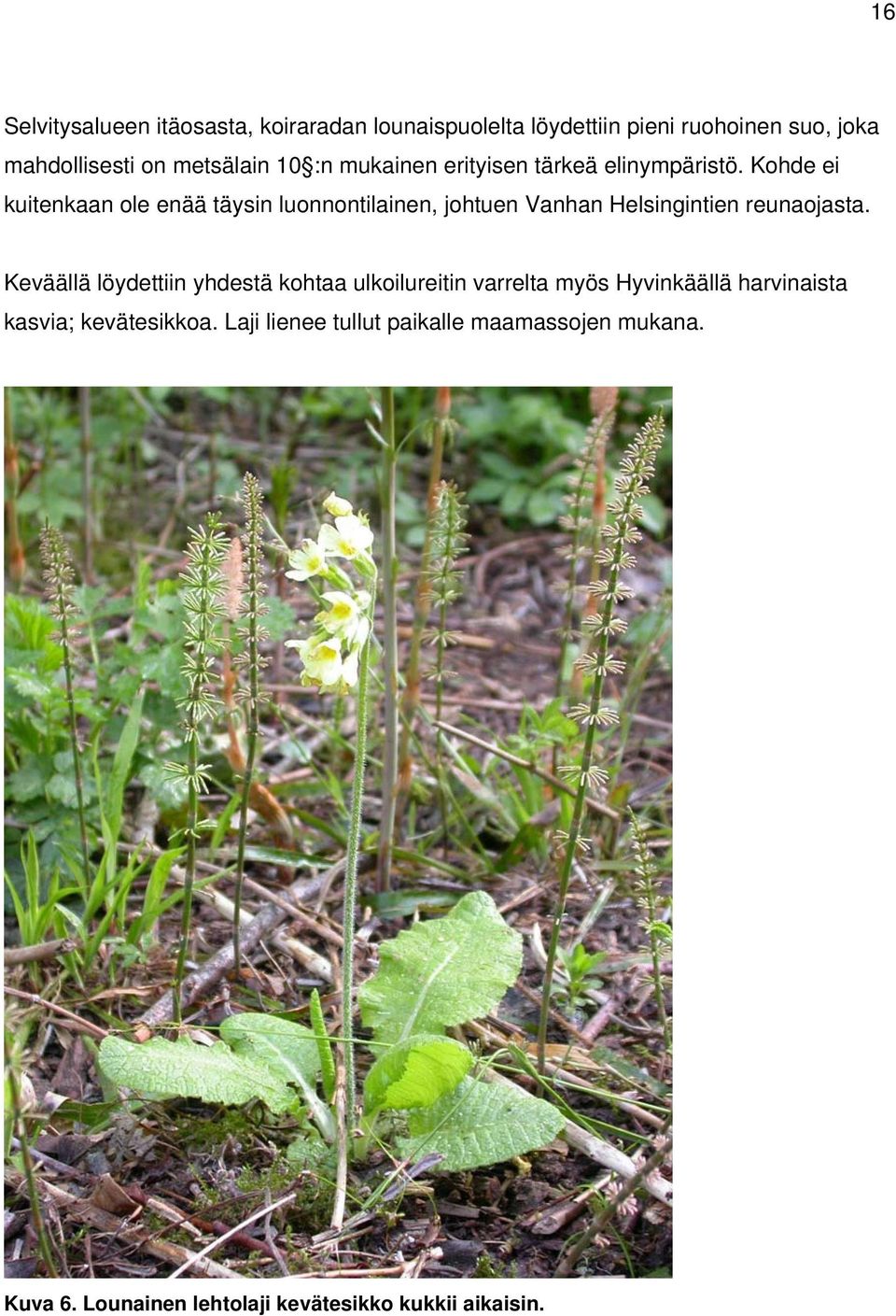 Kohde ei kuitenkaan ole enää täysin luonnontilainen, johtuen Vanhan Helsingintien reunaojasta.